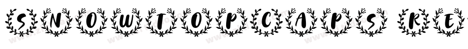 SnowtopCaps Regular字体转换